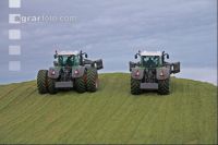 Maisernte Silage J 17
