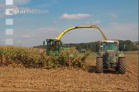 Maisernte Silage J 5