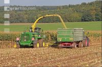 Maisernte Silage J 4