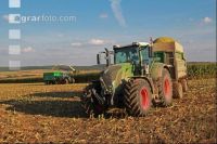Maisernte Silage J 3