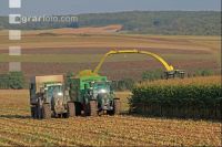 Maisernte Silage J 2