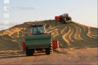 Maisernte Silage J 4