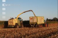 Maisernte Silage J 1