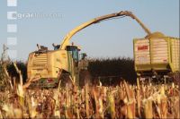 Maisernte Silage J 2
