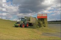 Maisernte Silage J 1