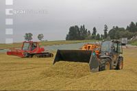 Maisernte Silage J 30