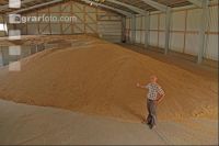 Cereals storeage J 6