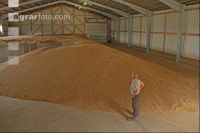 Cereals storeage J 4