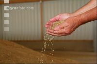 Cereals storeage J 3