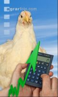 Masthähnchen Preis 3