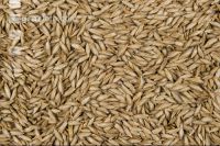 Einkorn 5