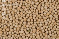 Erbsen 3