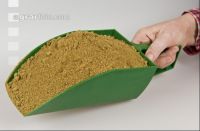 Kürbiskernkuchen 3