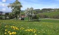 Milchabholung 75