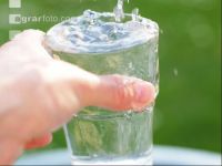 Trinkwasser 2