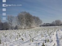 winterimpressionen 1