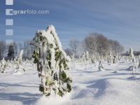 winterimpressionen 2