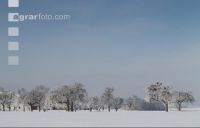 winterimpressionen 5