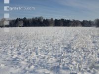winterimpressionen 6