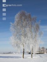winterimpressionen 7