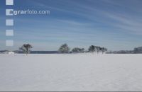 winterimpressionen 8