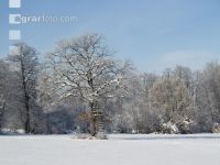 winterimpressionen 9