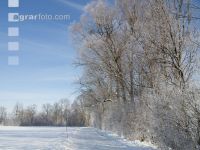 winterimpressionen 11