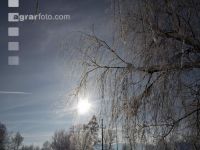 winterimpressionen 13