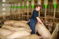 Duldungsreflex testen J 1