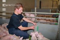Ferkel beobachten J 7