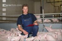 Ferkel beobachten J 4