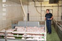 Ferkel beobachten J 3