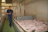 Ferkel beobachten J 2