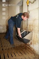 Drinking bowl cleaning J 1