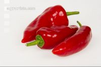 Paprika 14