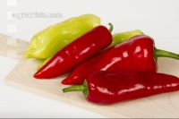Paprika 17