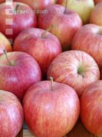 Apfel 10