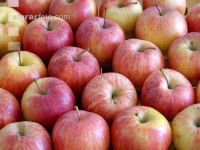 Apfel 11