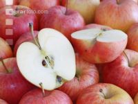 Apfel 12