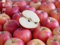 Apfel 13
