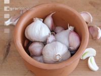 Knoblauch 9