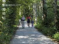 Wandern 16