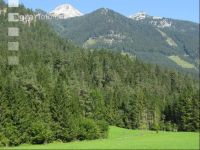 Bergwald 10