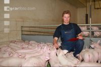 Ferkel beobachten J 5