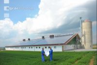 Bauplan Schweinestall 12