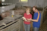 Sauen Aufzeichnung 17