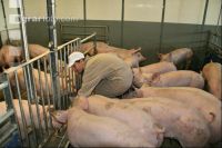 Tierhaltungslehrgang J 18