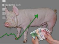 Schweinepreis 2