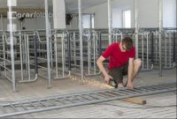Zuchtschweinestall Bau 1