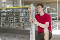 Zuchtschweinestall Bau 2